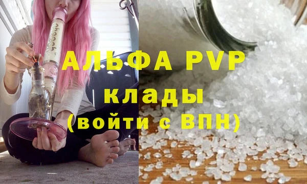 амф Кинешма