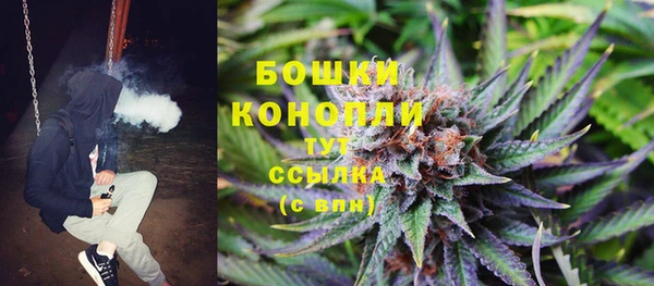 крисы Кодинск