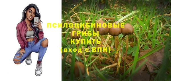 apvp Барнаул