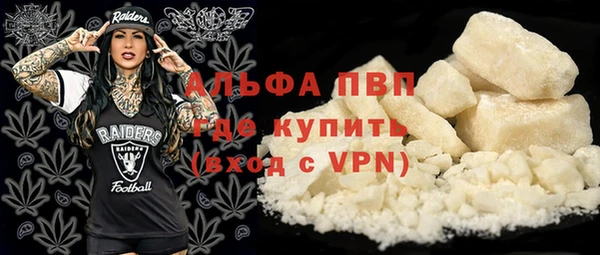 шишки Ессентукская