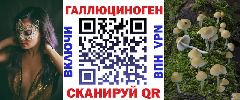 купить   Новохопёрск  Псилоцибиновые грибы MAGIC MUSHROOMS 